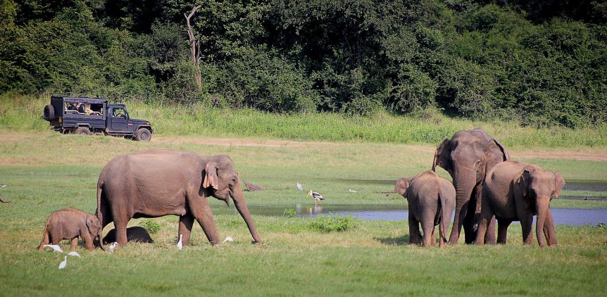 Vakantie Sri Lanka