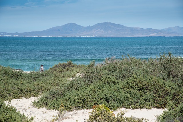 Zonvakantie-Fuerteventura-landschap-zee