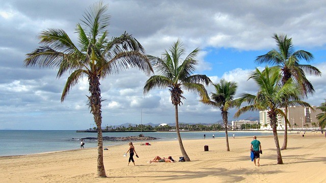 Zonvakantie-Lanzarote-strand-palmbomen