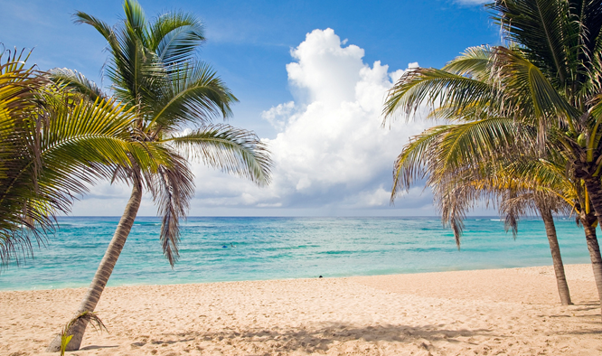 Zonvakantie, palmbomen, strand