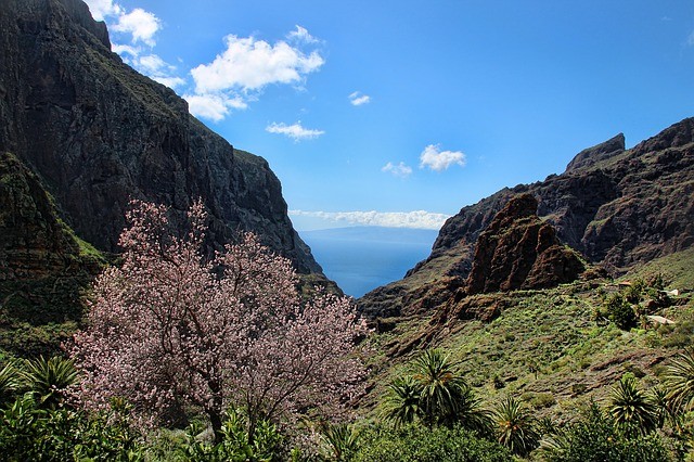 Vakantie Tenerife