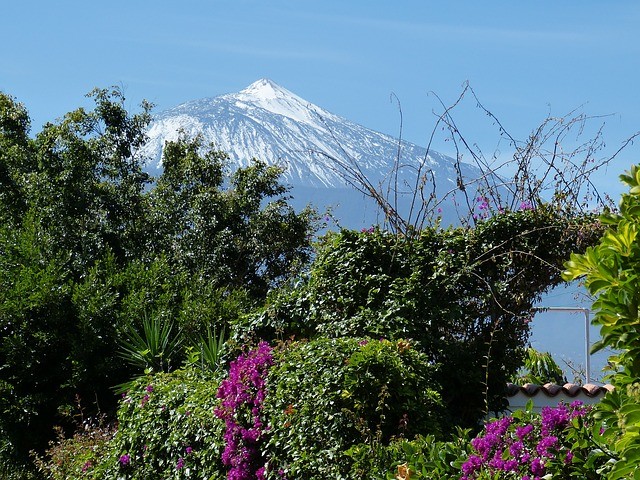 Landschap Tenerife Canarische Eilanden