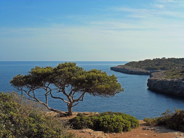 Mallorca Spanje