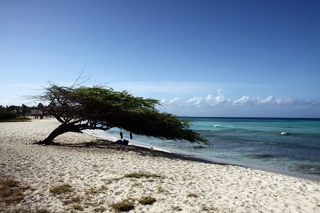 Vakantie Aruba zee strand