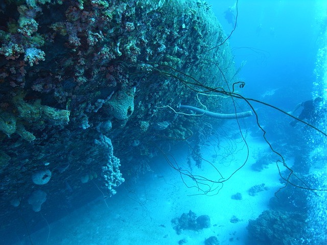 Vakantie Bonaire onderwaterwereld duiken