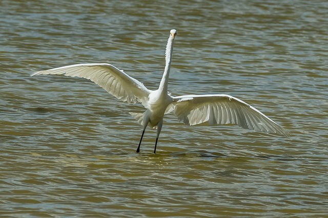 Cuba natuur Cayo Santa Maria