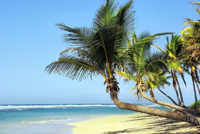 Vakantie Cuba strand zee palmbomen