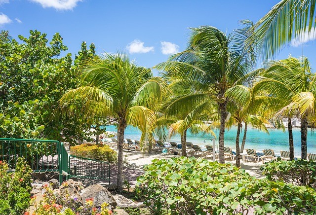 Curaçao vakantie palmbomen strand zee