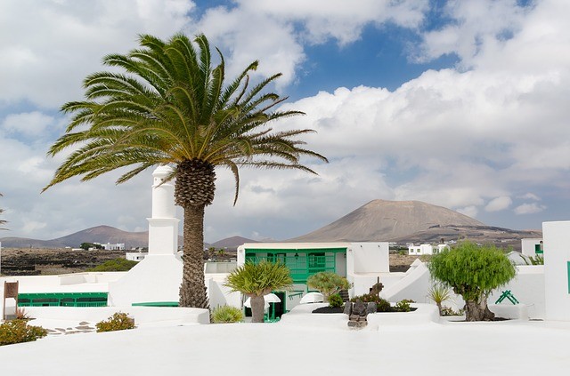 Lanzarote Spanje palmbomen