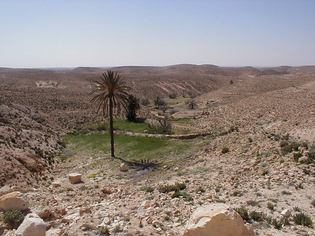 Vakantie Tunesië oase