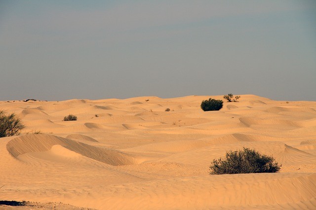 Tunesië vakantie woestijn