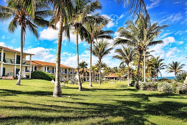 Cuba vakantie palmbomen hotel