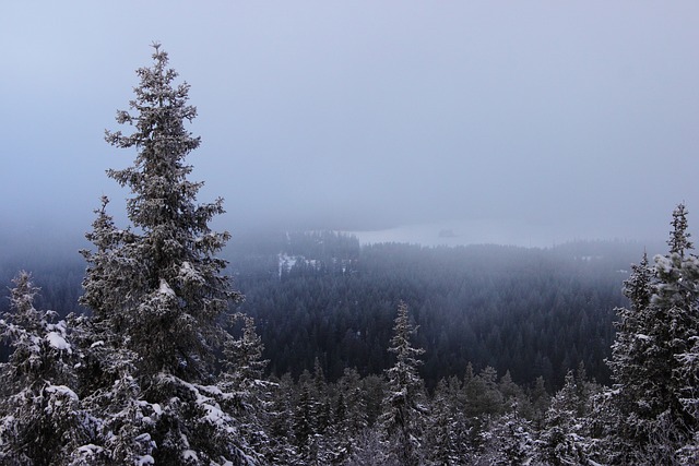 Finland Kuusamo