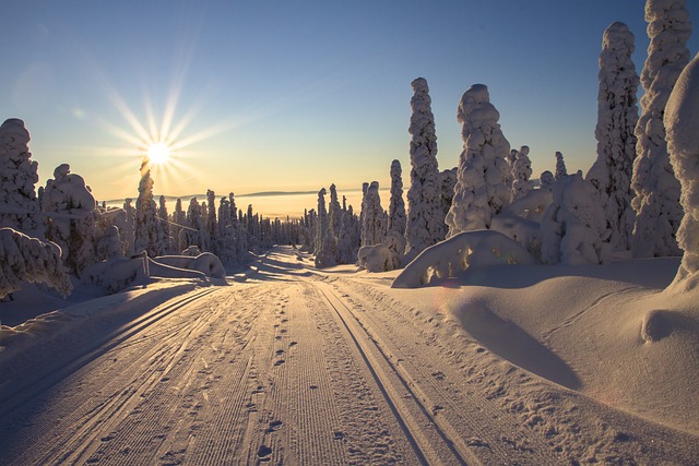 Finland Lapland sneeuw