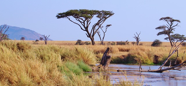 Tanzania Afrika natuur landschap