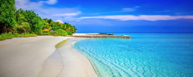 Paradijs vakantie oceaan strand palmbomen