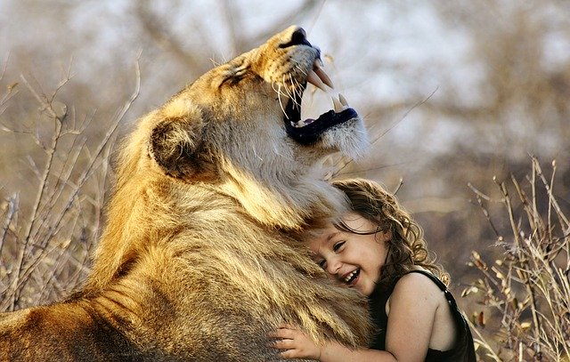 Natuur leeuw Afrika meisje