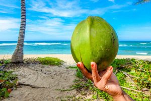 Reizen naar Seychellen strand kokosnoot