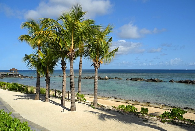 Zonvakantie Mauritius zee palmbomen