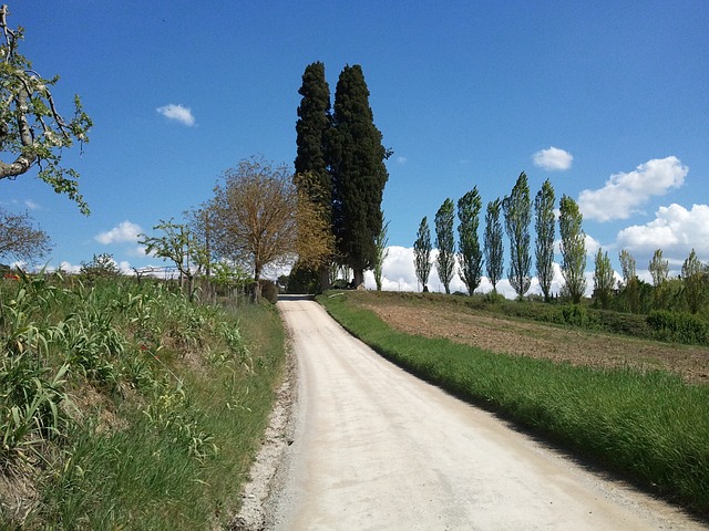 Reizen Toscane Italië landschap