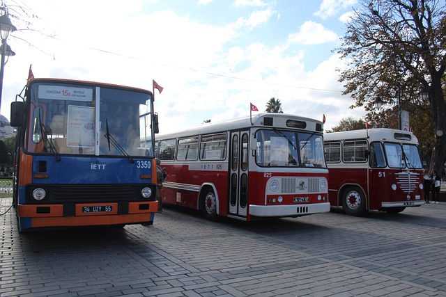 Bus in Turkije