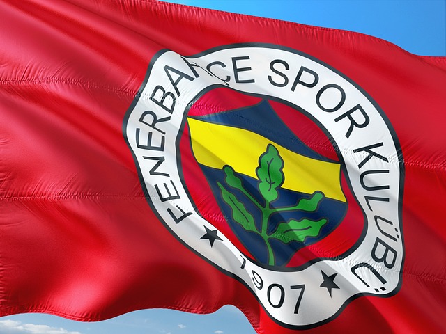 Fenerbahçe SK voetbalclub Istanbul Turkije