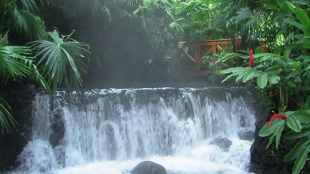 Vakantie naar Costa Rica waterval