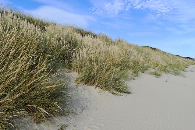 Duinen strand vakantie Australië