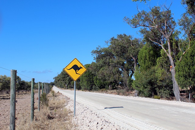 Reizen Australië weg