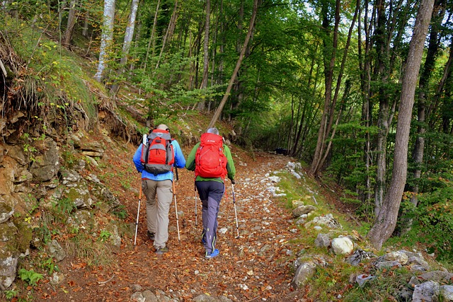 Wandelen bos Italië vakantie