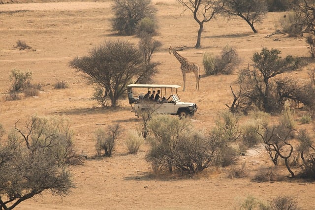 Vakantie Zuid-Afrika safari natuur