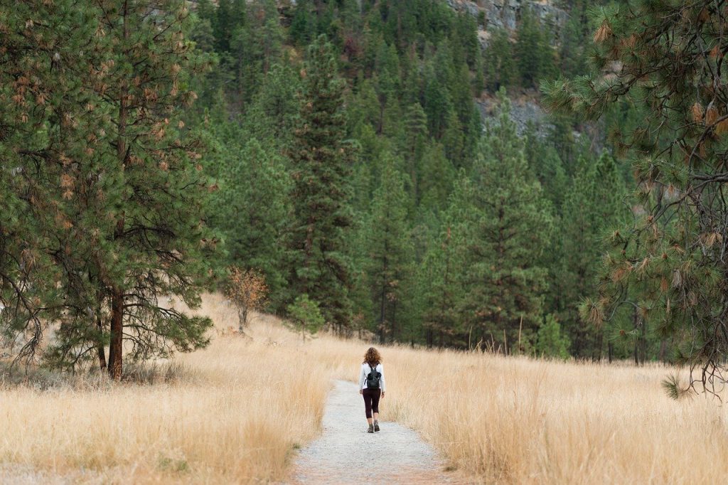 Singlereis natuur wandelen