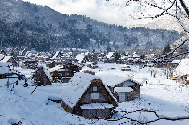Winter in Japan