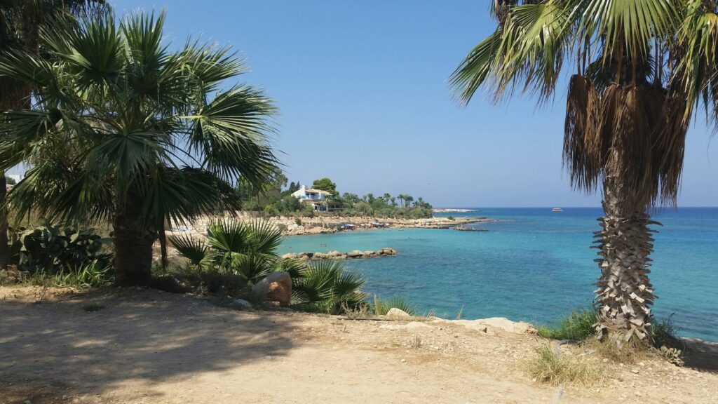 Palmbomen en helderblauwe baai bij Protaras op Cyprus